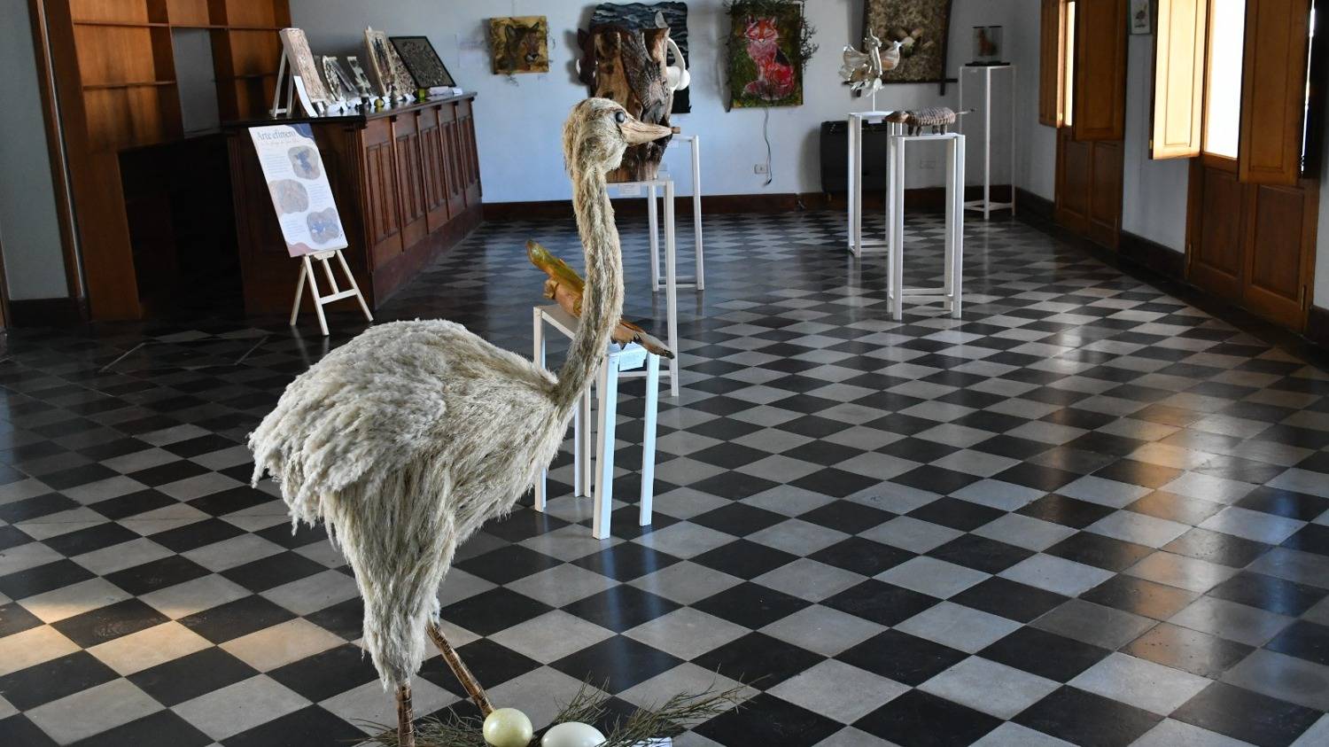 Patagones: una muestra propuso memoria, arte y miradas de la comarca 