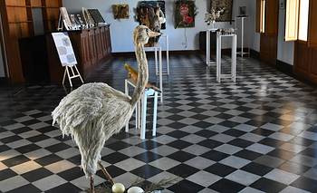 Patagones: una muestra propuso memoria, arte y miradas de la comarca 