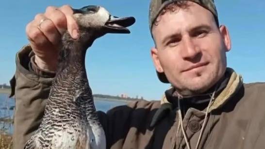 Denunciaron a un influencer por cazar aves protegidas y mostrarlo en las redes sociales