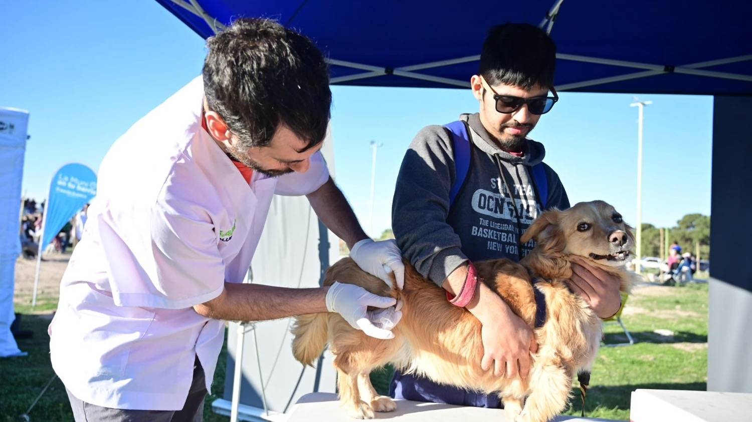 Atención veterinaria municipal en la última semana de septiembre