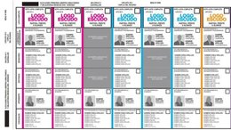 "Modelo mendocino": cómo es la Boleta Única de Papel que aprobó Diputados para 2025