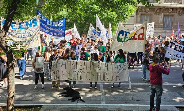 Docentes de la UNS anunciaron un paro de 120 horas - La Nueva