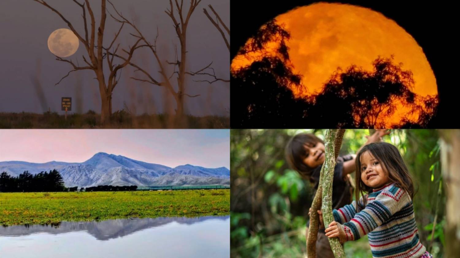 Las fotos de la semana en el Instagram de La Nueva.