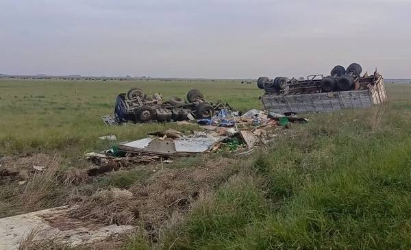 Coronel Pringles: murió un camionero tras un choque y vuelco en la ruta ...