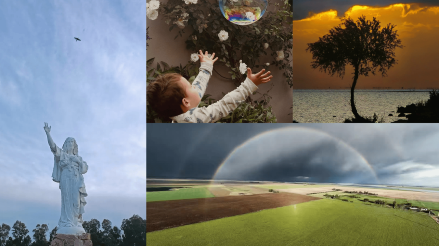 Las fotos de la semana en el Instagram de La Nueva.