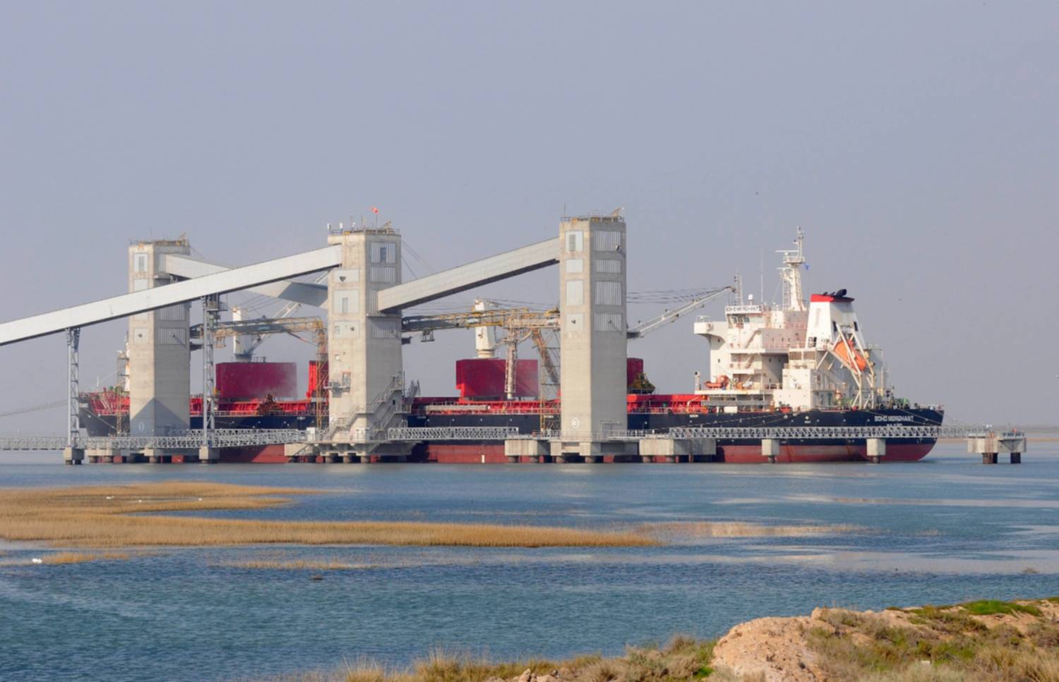 Bahía Blanca y Rosales dominan en cargas a granel entre los puertos bonaerenses