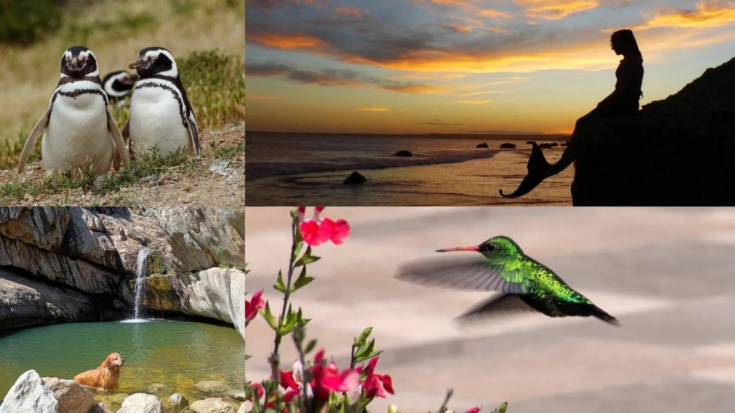 Las fotos de la semana en el Instagram de La Nueva.