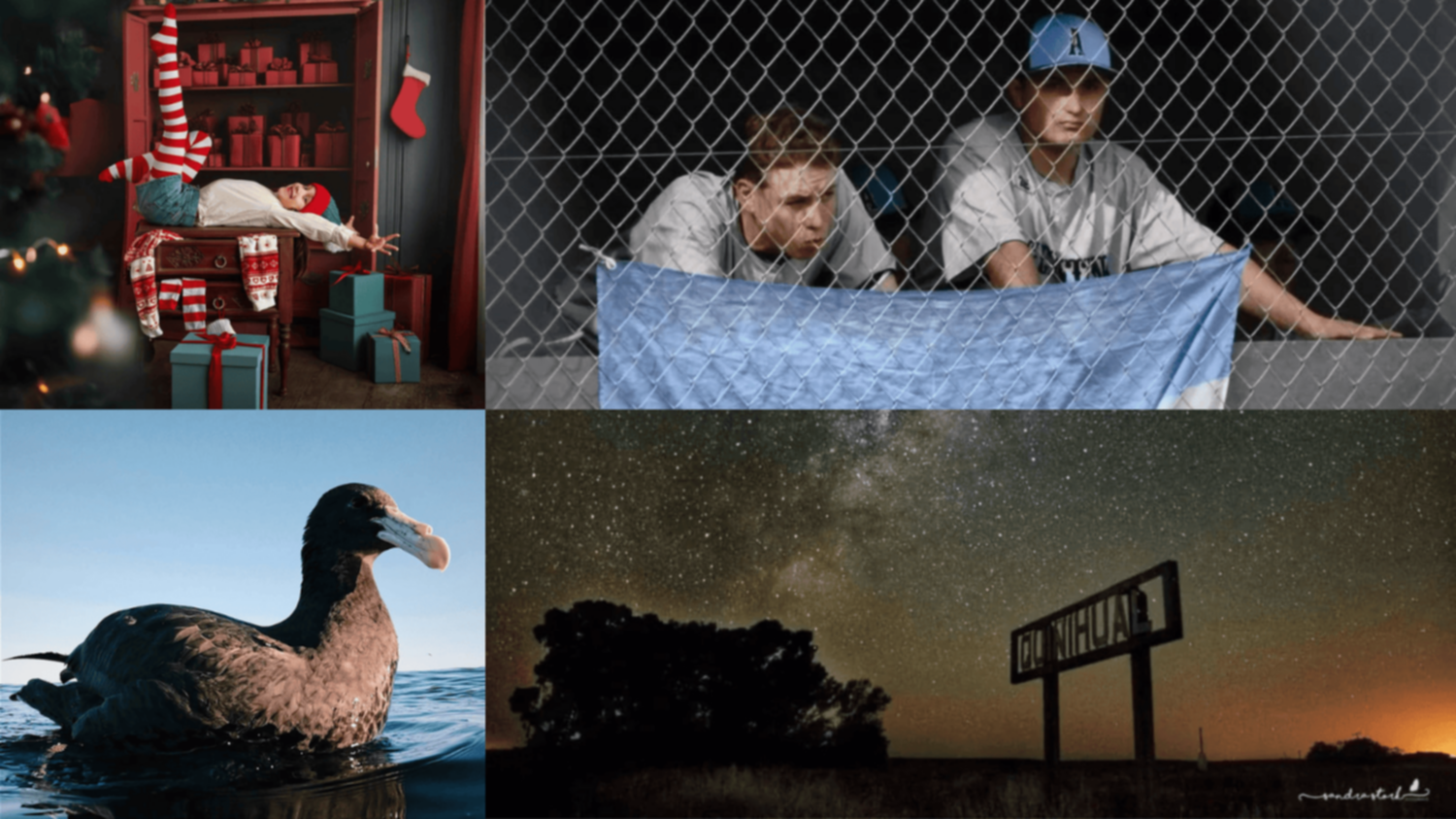 Las fotos de la semana en el Instagram de La Nueva.