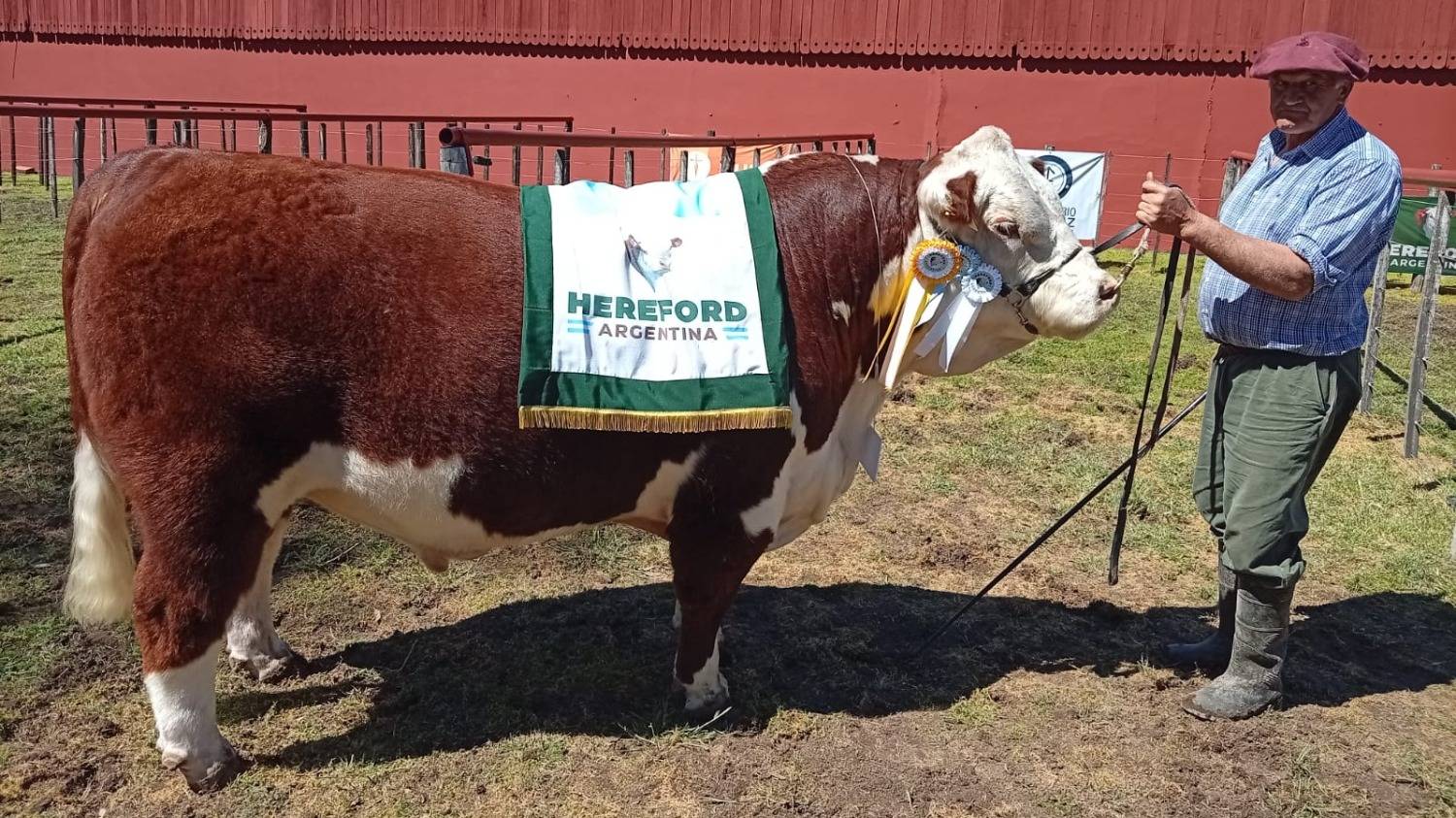 Bordeu 2026: La Tigra se quedó con todos los premios de Hereford