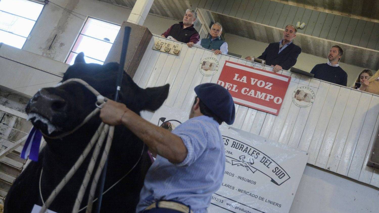 Bordeu: termina la exposición de Bahía Blanca con el remate de los grandes campeones