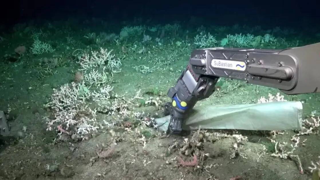 Mundo submarino: qué puede revelar el cañón Bahía Blanca