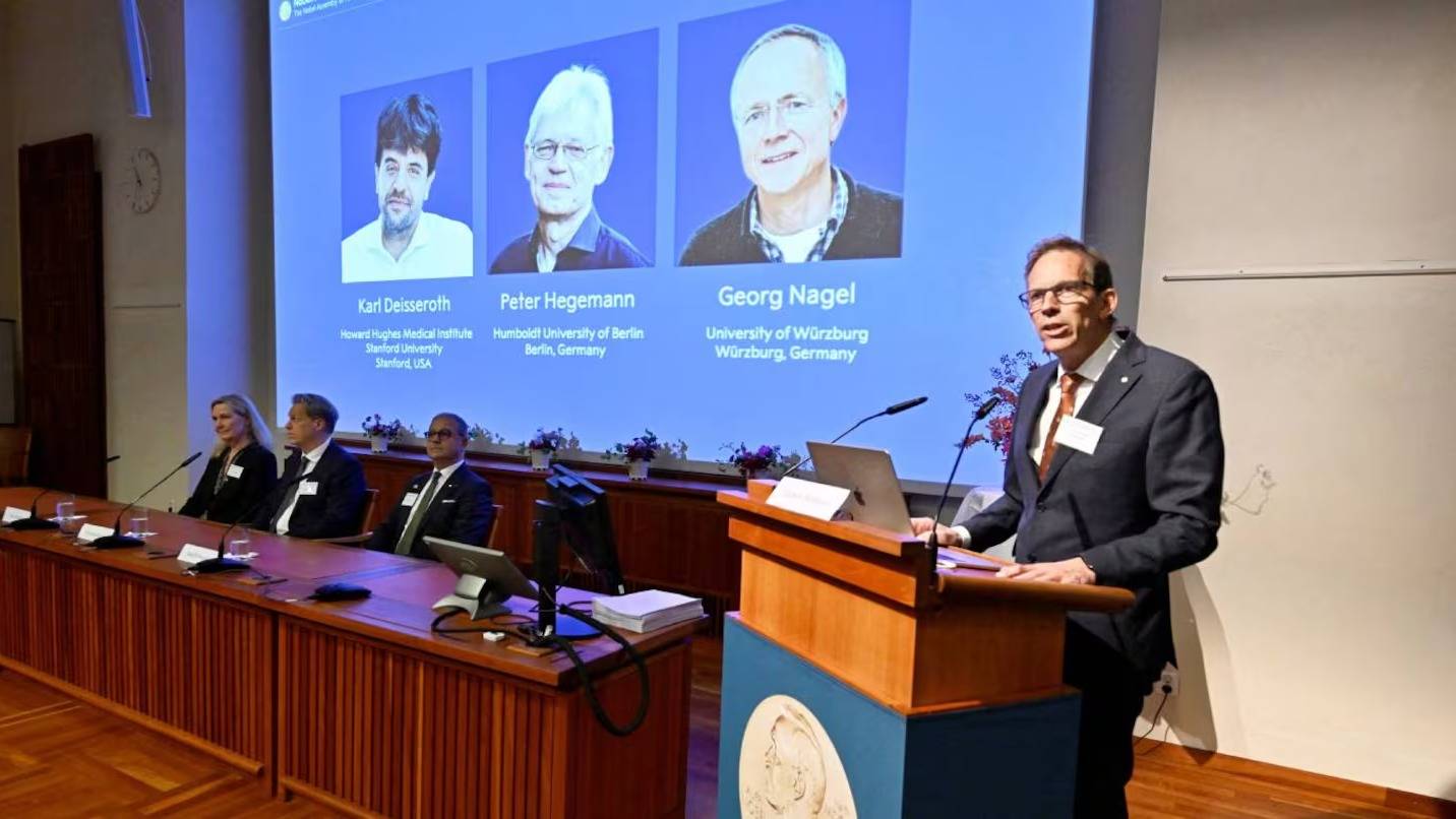 Tres científicos ganaron el Nobel de Medicina por sus investigaciones sobre la actividad cerebral