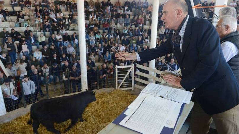Bordeu 2026: las ventas de reproductores superaron los $ 2.000 millones