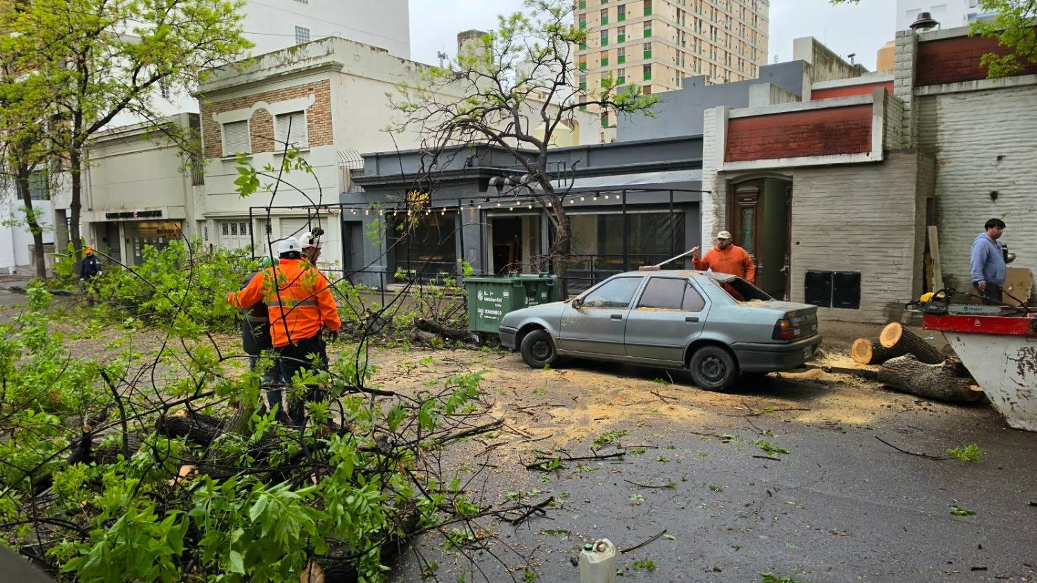 Se cayó un árbol en pleno centro y dañó un auto: "No me agarró a mí por segundos", señaló el dueño