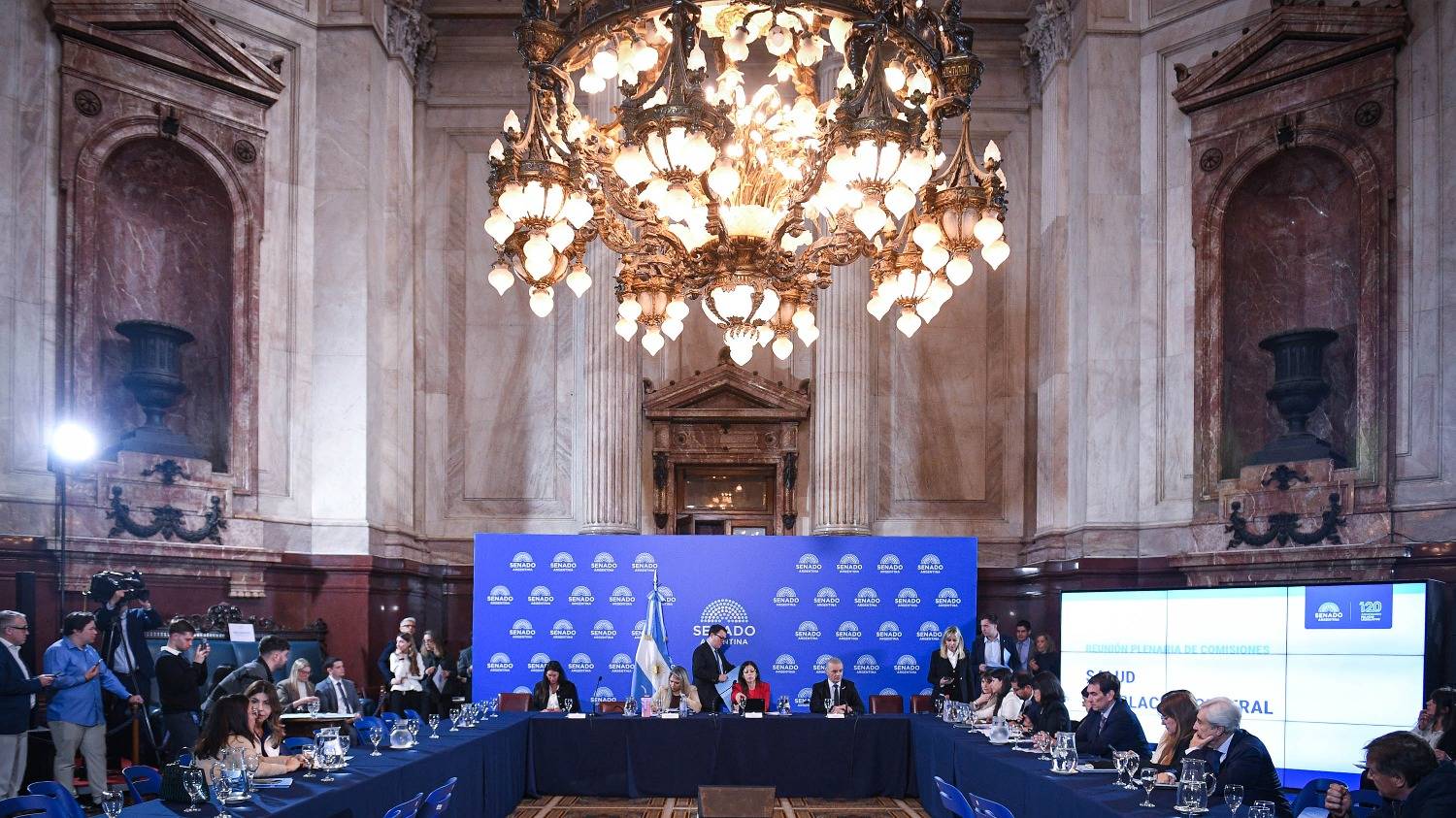 Ley de Salud Mental: se avanzó en el Senado con las internaciones involuntarias