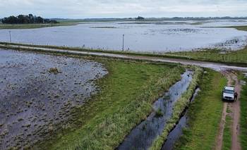 La Provincia denunciará penalmente a Javier Milei y Luis Caputo por la falta de obras contra inundaciones