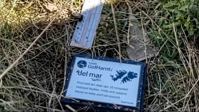 Malvinas: la TV chilena mostró placas de los familiares de los soldados argentinos tirados fuera del Cementerio de Darwin