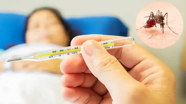 Dengue: se registraron dos nuevos casos en Argentina, ambos con antecedentes de viaje