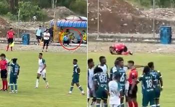 Escándalo en Ecuador: un futbolista casi “mata” a un árbitro de ¡un piedrazo!