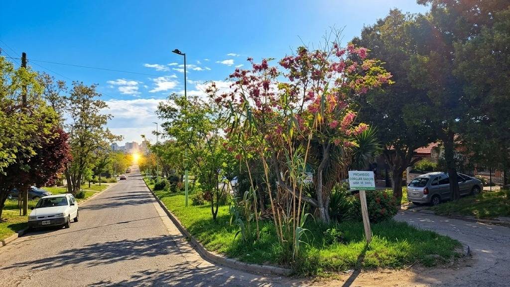 Calle Pasteur: un bulevar cuyos canteros muestran una mejor ciudad