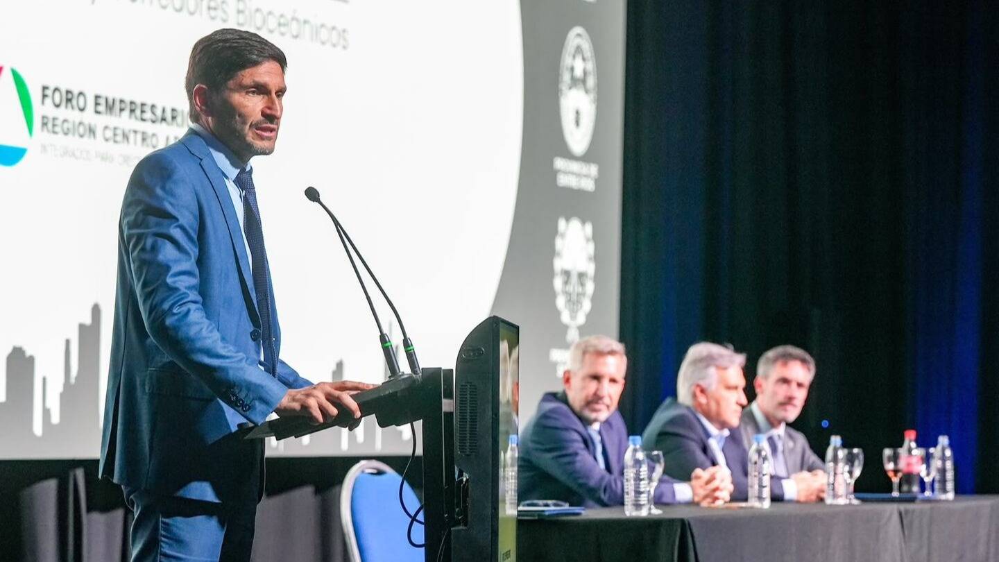 El Gobierno busca sumar a las empresas argentinas a los grandes proyectos del RIGI