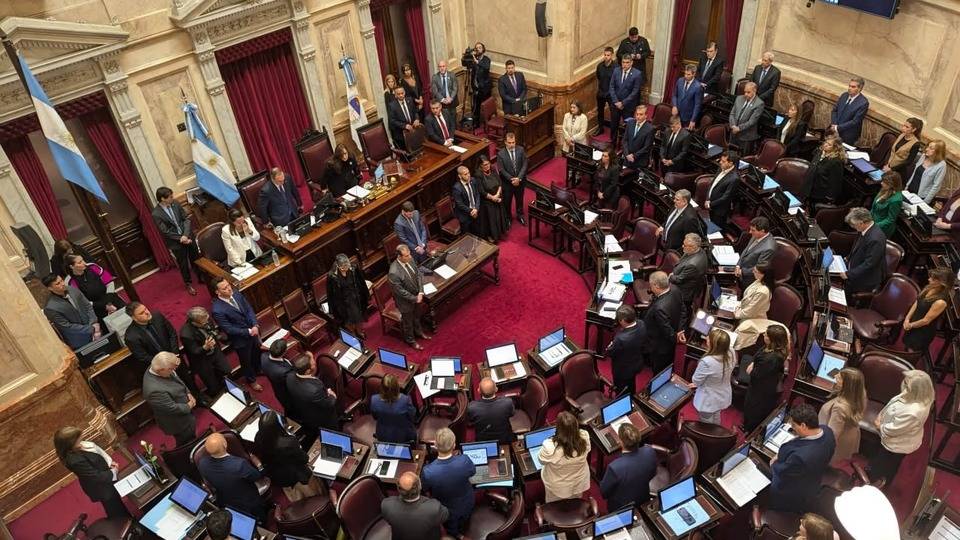 En vivo: el Senado debate la reforma de la Ley de Salud Mental que habilita las internaciones involuntarias