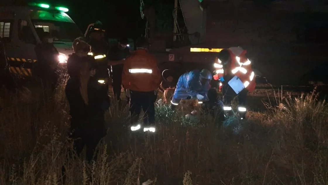 Un maquinista logró detener el tren a tiempo y evitar una tragedia Un maquinista logró detener el tren a tiempo y evitar una tragedia