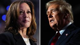 Elecciones en Estados Unidos: ya votaron más de 70 millones de personas