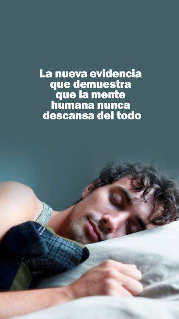 cerebro no sleep