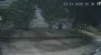 Entradera violenta: así ingresaron los ladrones a la casa del barrio Noroeste Entradera violenta: así ingresaron los ladrones a la casa del barrio Noroeste