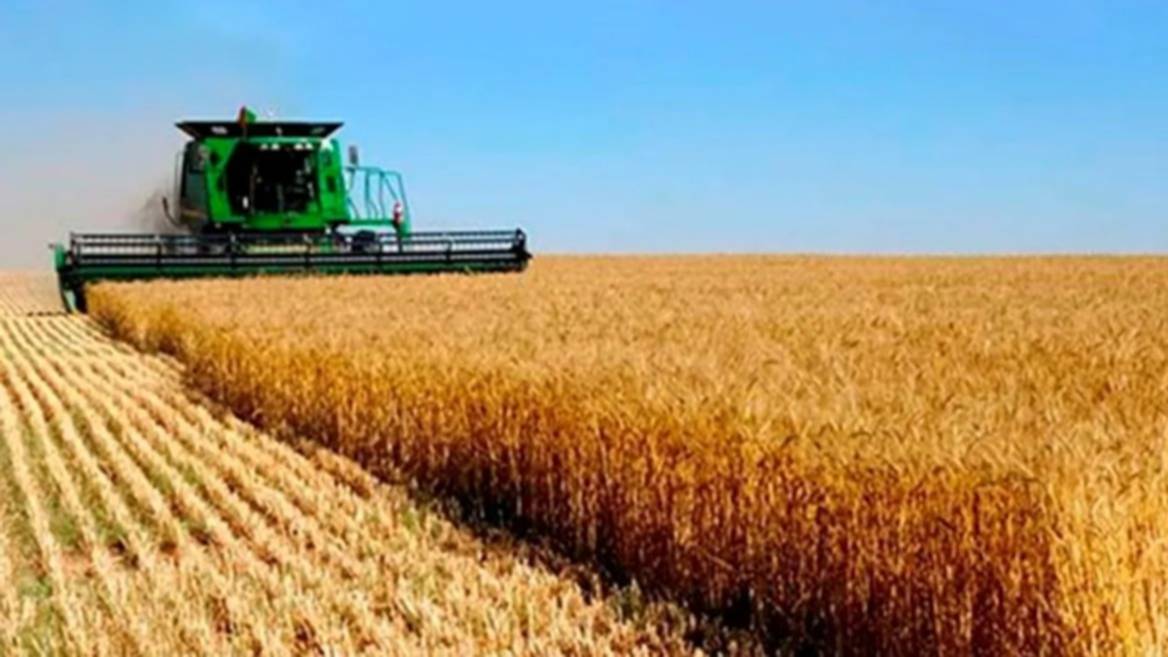 El sector agroexportador liquidó U$S 1.117 millones en octubre