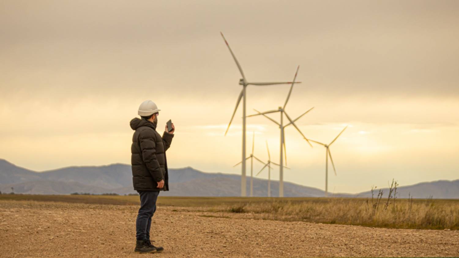 Para 2030 se espera generar 24 millones de nuevos empleos verdes