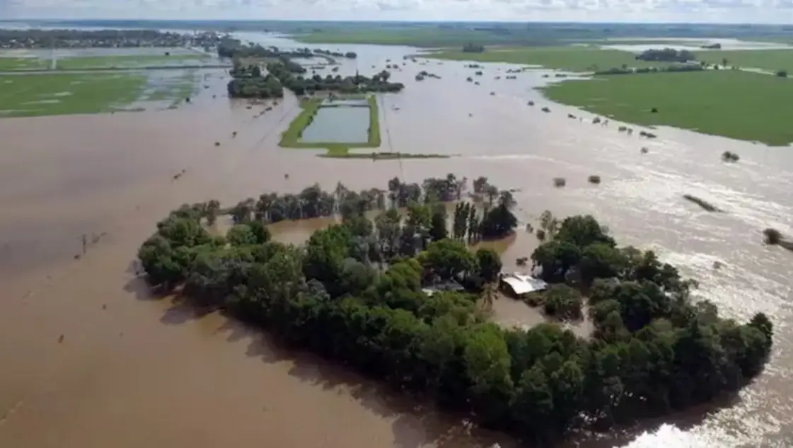 Legisladores bonaerenses piden declarar la emergencia agropecuaria por los campos inundados en PBA