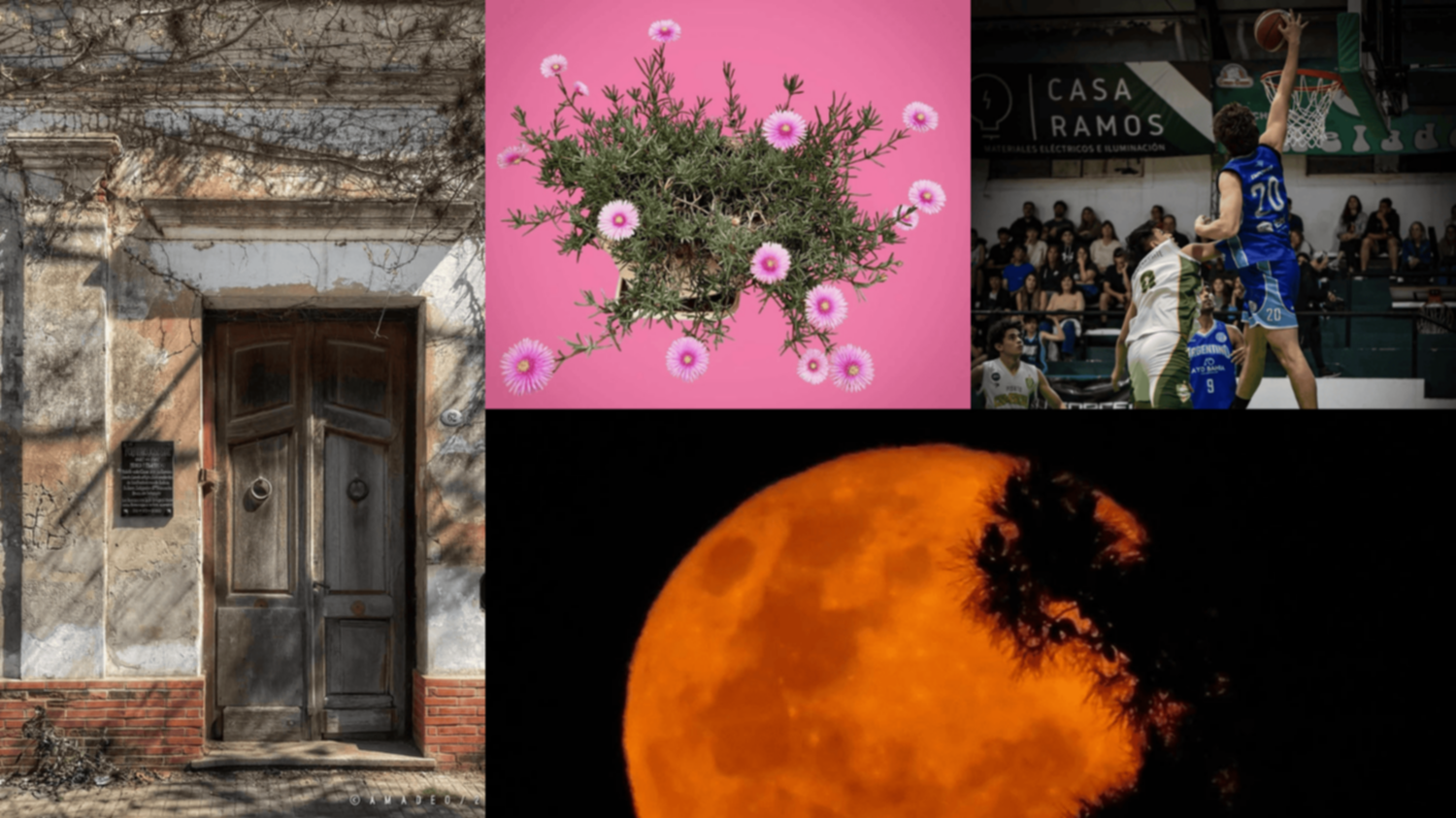 Las fotos de la semana en el Instagram de La Nueva.