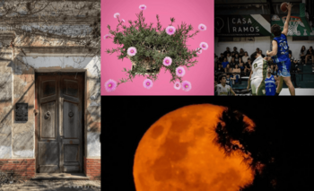 Las fotos de la semana en el Instagram de La Nueva.