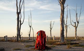 A 40 años de la inundación: repensar a Epecuén desde el arte