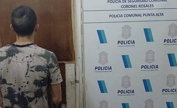 Detuvieron a un hombre por agredir a su pareja - La Nueva