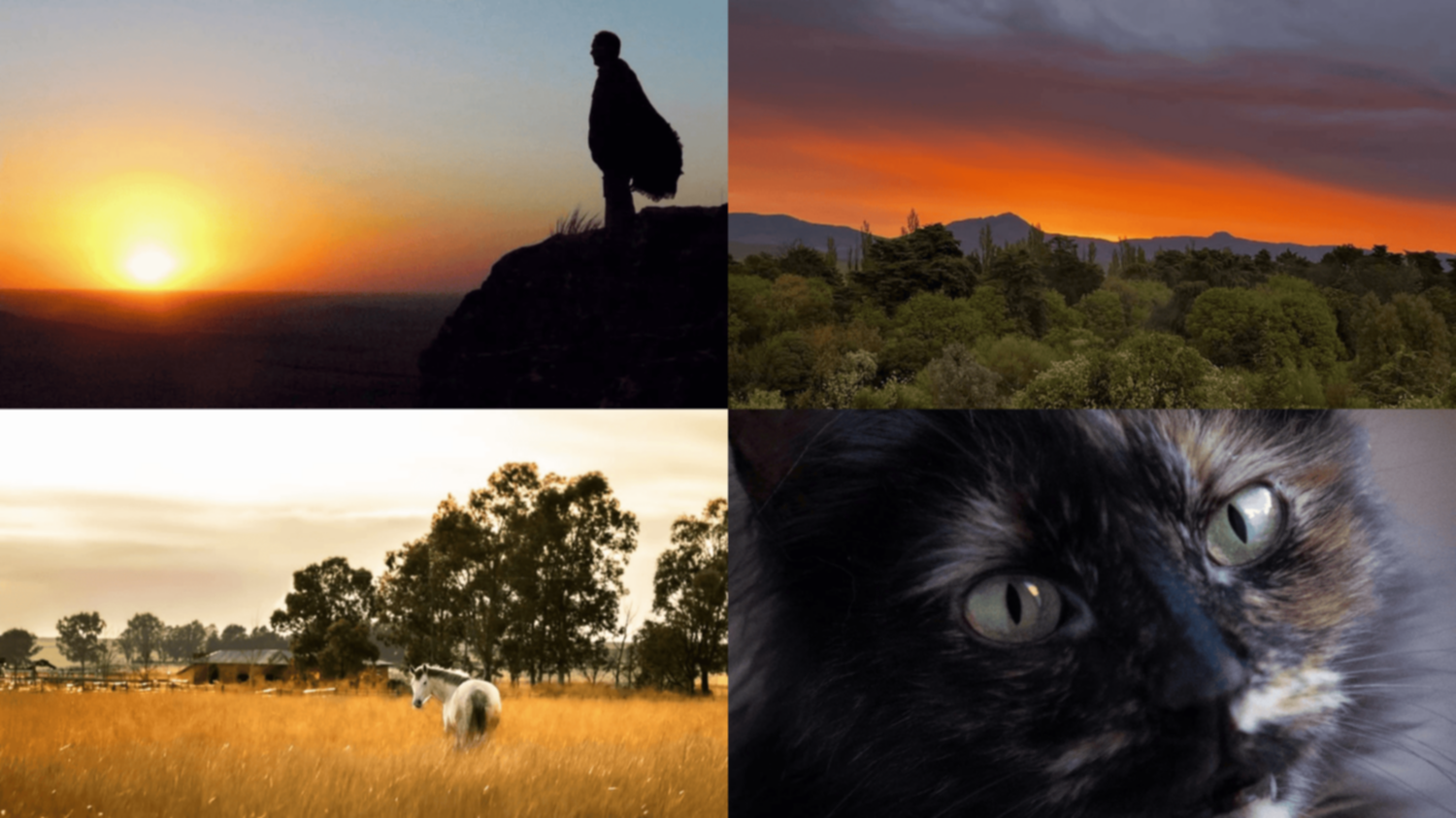 Las fotos de la semana en el Instagram de La Nueva.