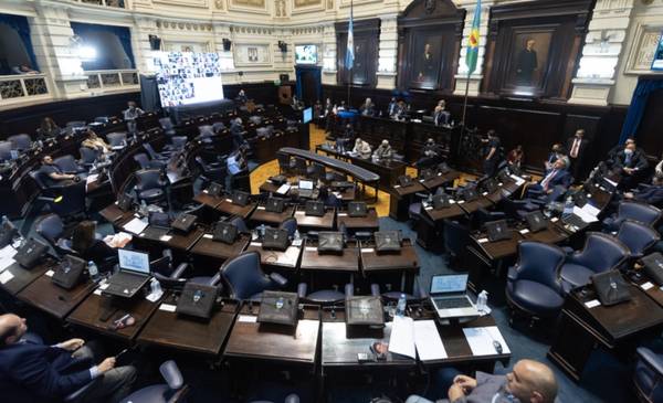 Tea y neurodivergencias: ¡bien por los diputados! - La Nueva