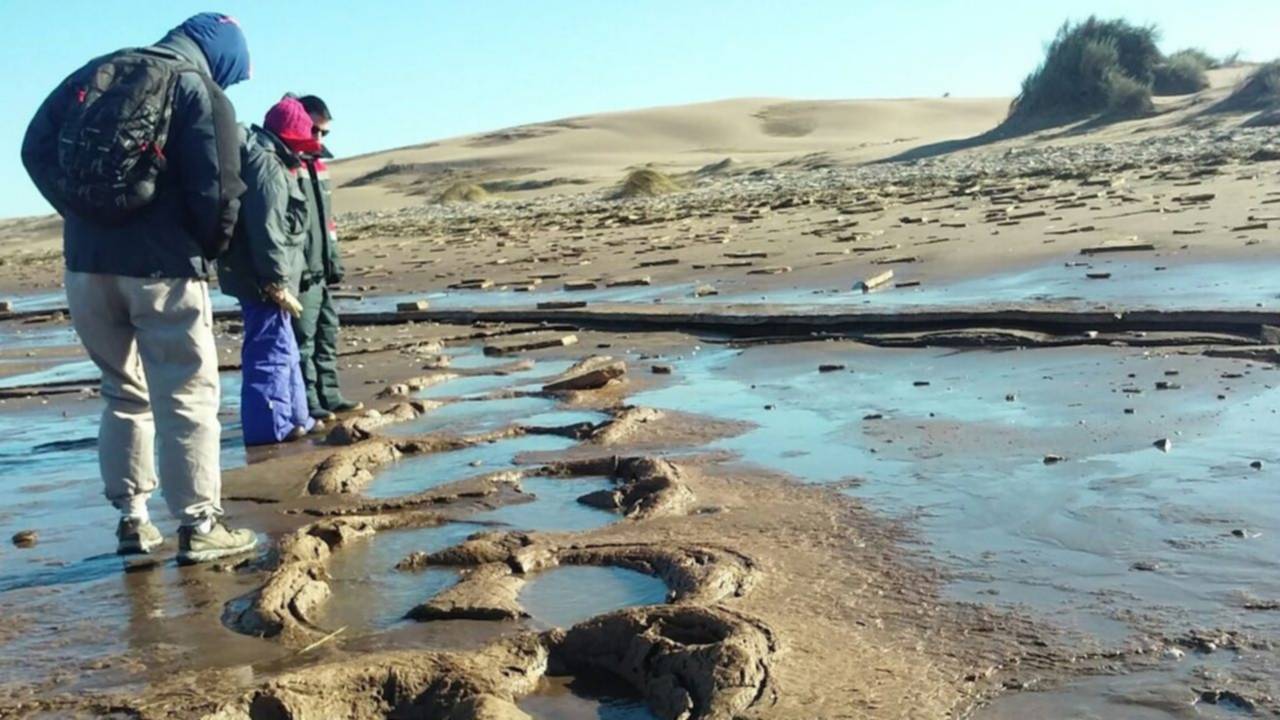 Coronel Rosales y Monte Hermoso, guardianes del pasado