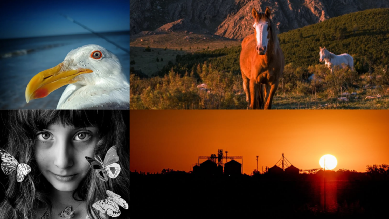 Las fotos de la semana en el Instagram de La Nueva.