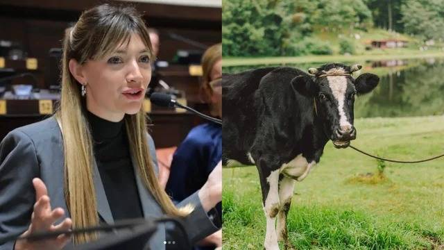 Una diputada kirchnerista quiere cobrar impuesto a los flatos y eructos de las vacas