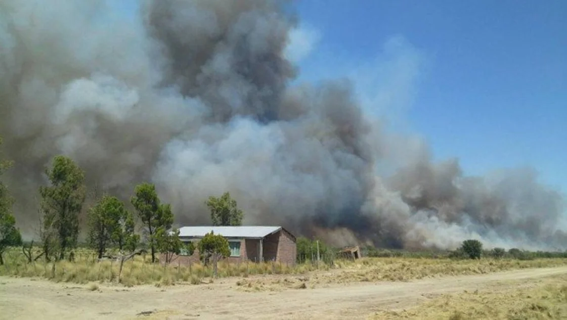 Río Negro: combaten un incendio que consumió más de 270.000 hectáreas