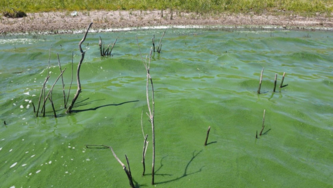 Problemas con el agua en Bahía: quejas por falta de servicio, mal olor y un sabor que "descompone" Problemas con el agua en Bahía: quejas por falta de servicio, mal olor y un sabor que "descompone"