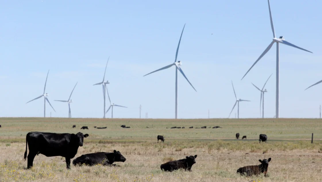 La producción con energías renovables no tiene fronteras