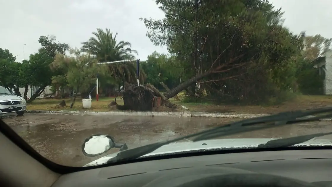 Fuerte temporal en Bahía Blanca: destrozos y casi toda la ciudad sin luz