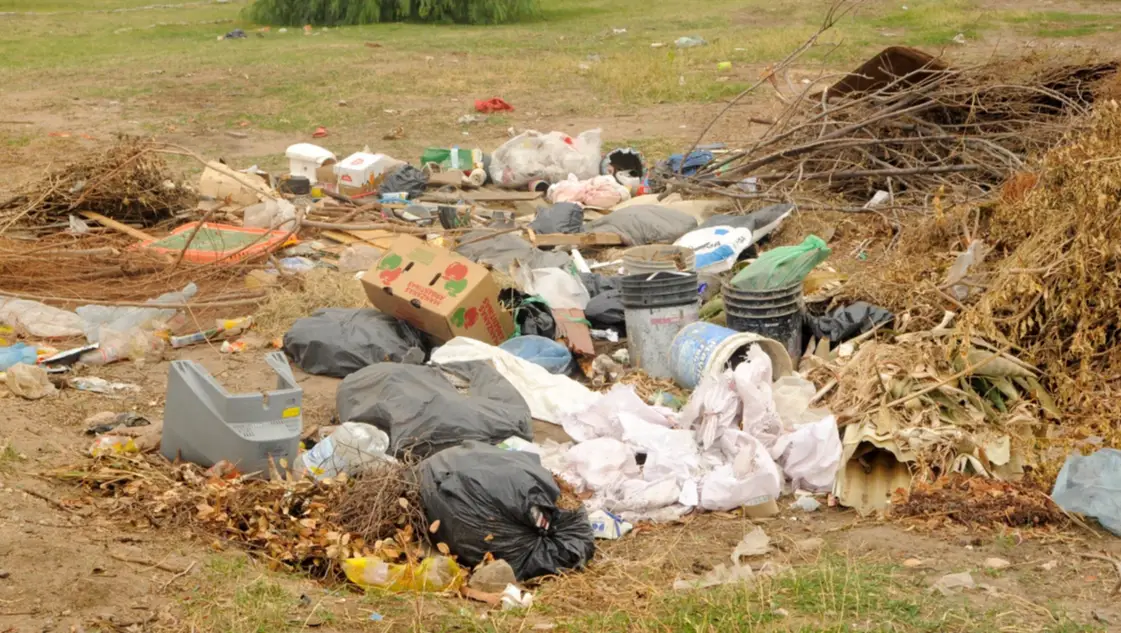 Bahía Blanca reactiva su agenda ambiental y proyecta ordenanzas clave