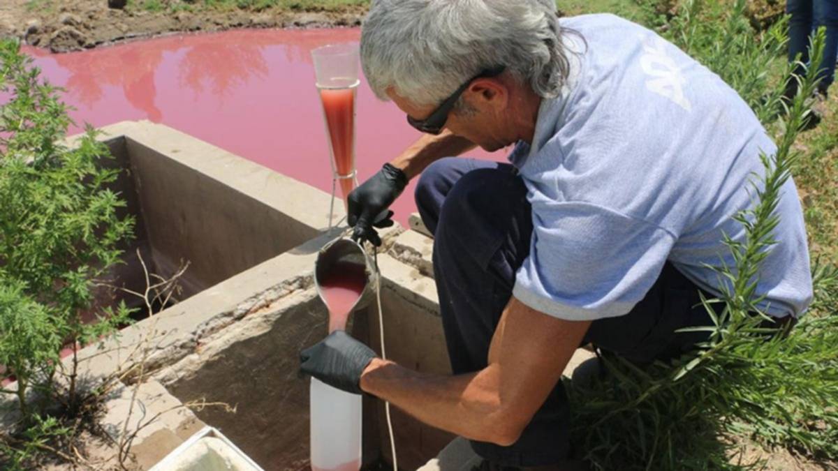 El presidente de un frigorífico fue procesado por contaminar el Río Salado
