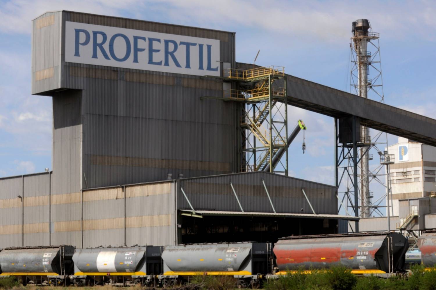 El directorio de YPF analiza desprenderse del 50% de Profertil