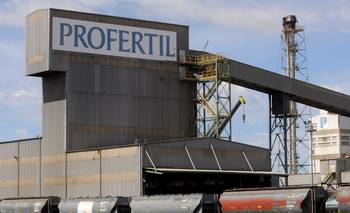 El directorio de YPF analiza desprenderse del 50% de Profertil